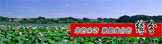 碗扣式脚手架 碗扣式脚手架