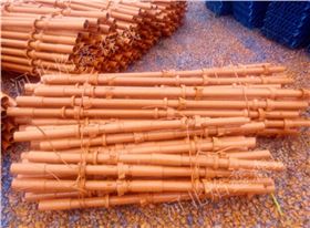 碗扣式脚手架 碗扣式脚手架