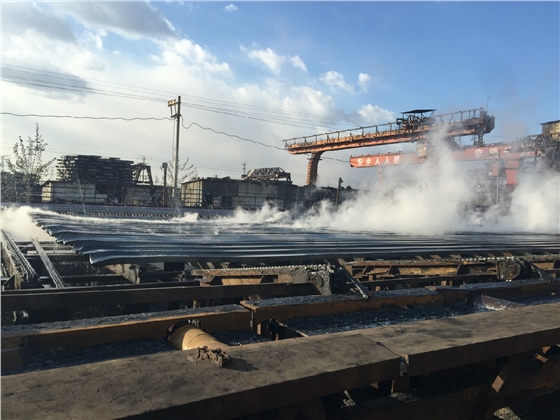 IMG_3706.JPG IMG_3706.JPG