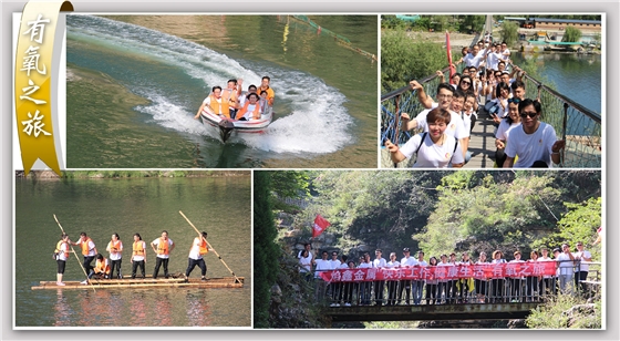 中鸿焰鑫森域 中鸿焰鑫森域