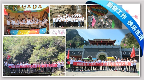 中鸿焰鑫森域 中鸿焰鑫森域