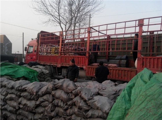 IMG_1126.JPG IMG_1126.JPG/