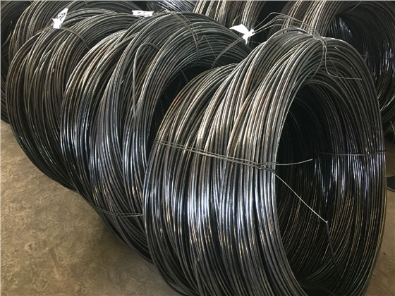 IMG_5962.JPG IMG_5962.JPG