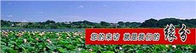 QQ图片20141122162543.jpg