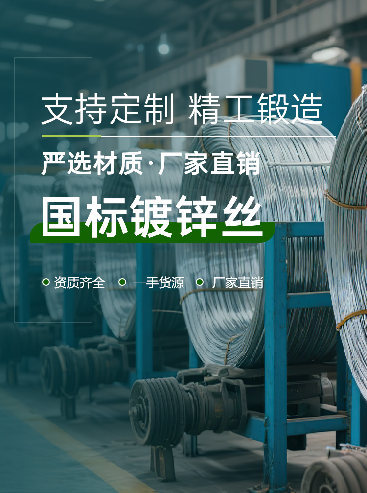 国标镀锌丝