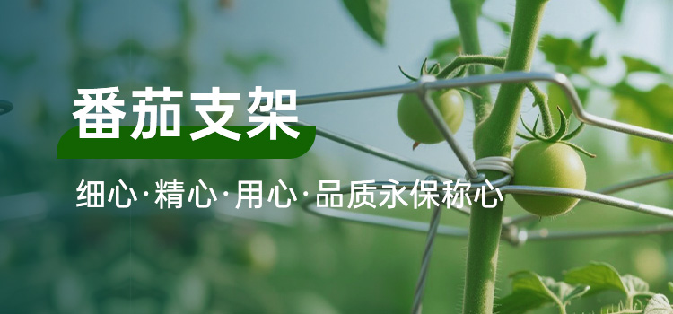 案例新闻