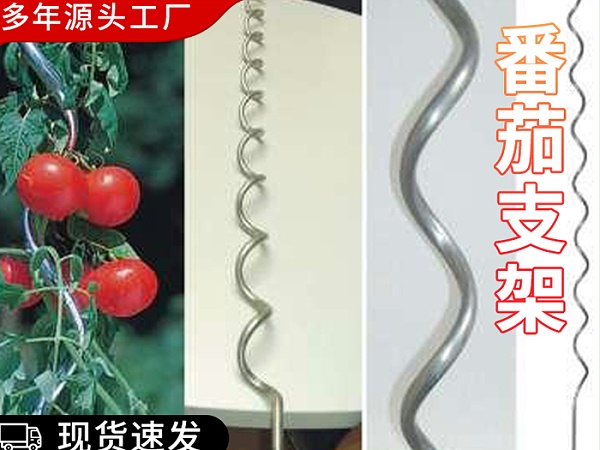 番茄支架现货
