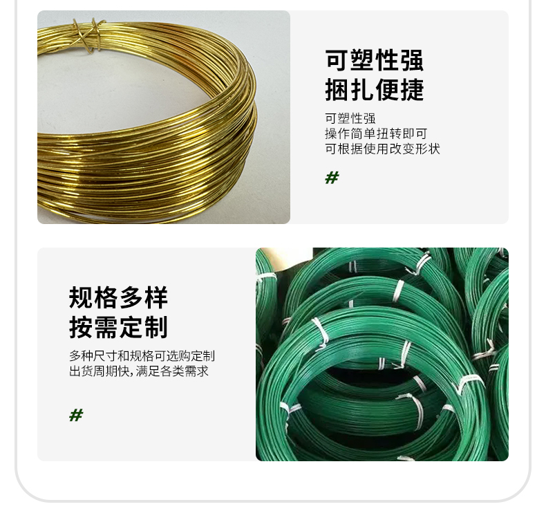 盘丝