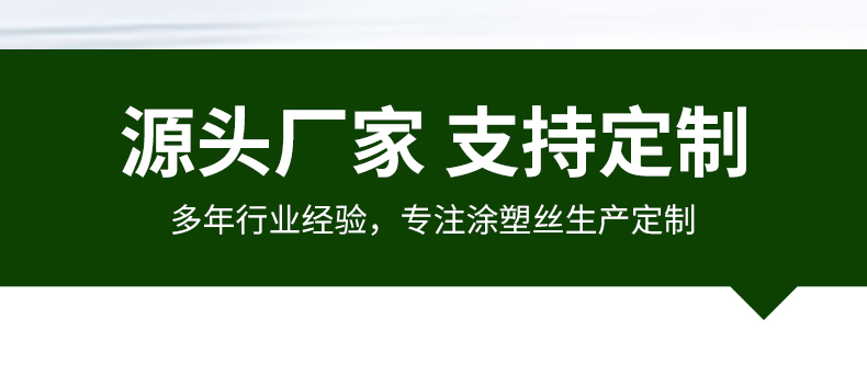 盘丝