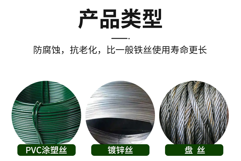 盘丝