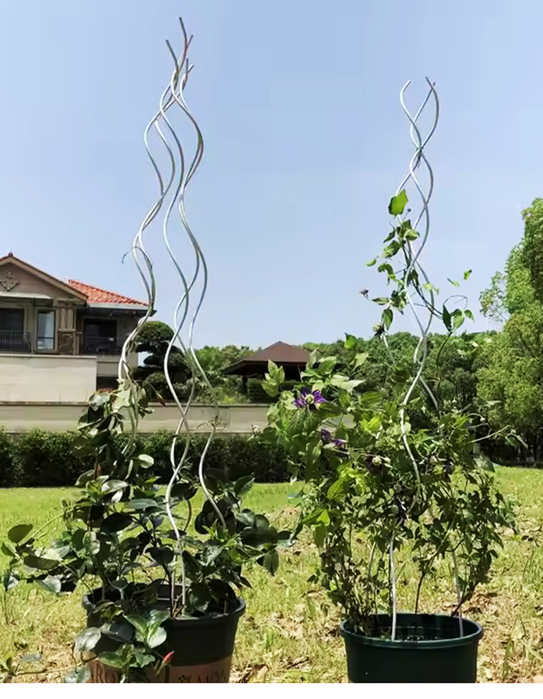 番茄支架
