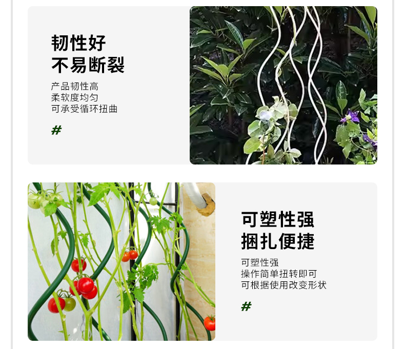 番茄支架