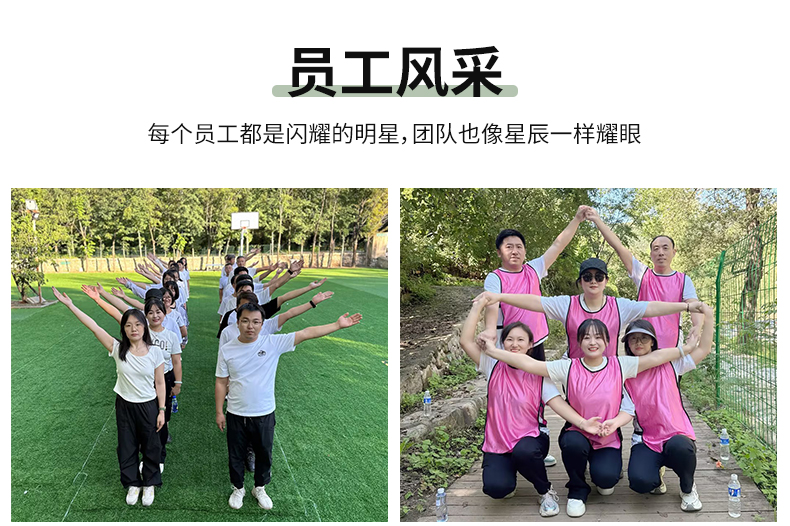 番茄支架