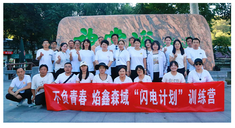 番茄支架