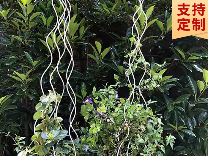 番茄支架